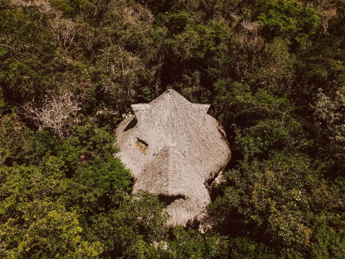 Casa Arkaana's palapa temple in the jungle near Tulum, seen from above